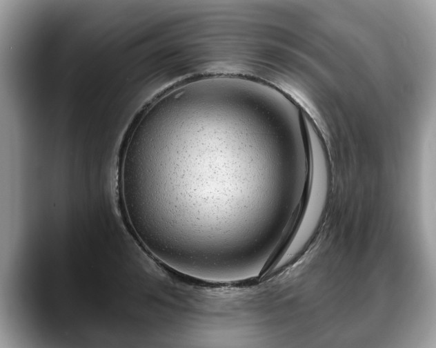 X0000088670992200706071456