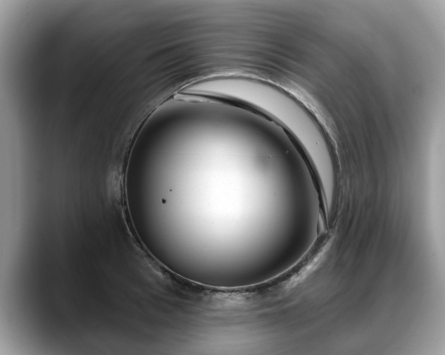 X0000088670993200706071456