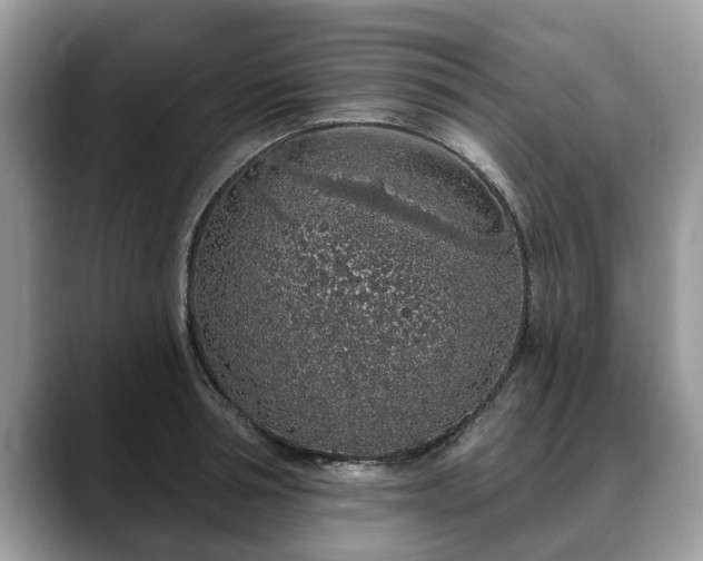 X0000088670994200706071456