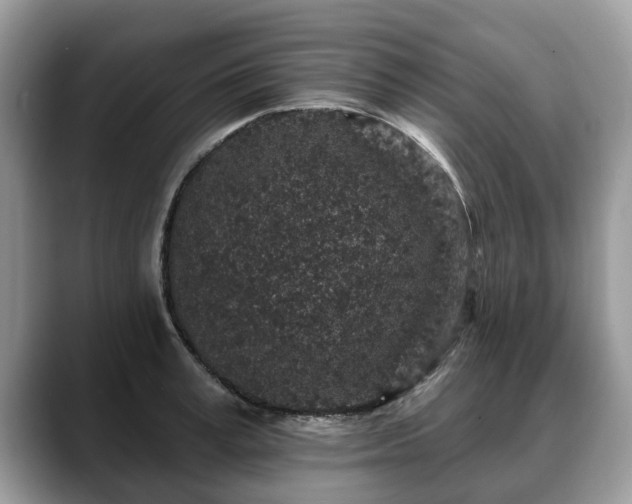 X0000088670995200706071456