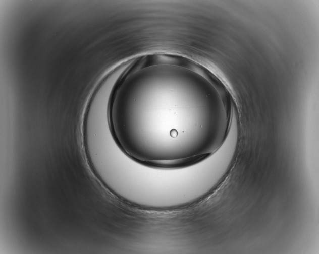 X0000088670996200706071456