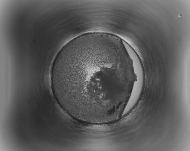 X0000088670998200706071456