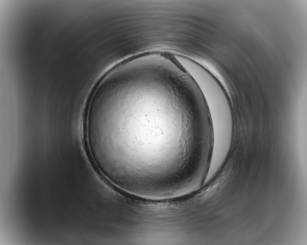 X0000088670999200706071456