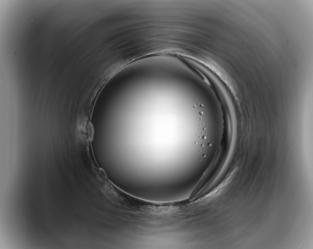 X0000088671001200706071456