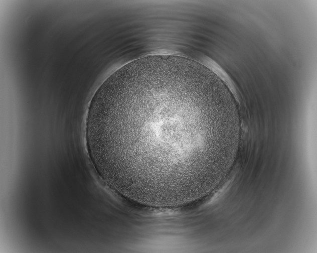 X0000088671002200706071456