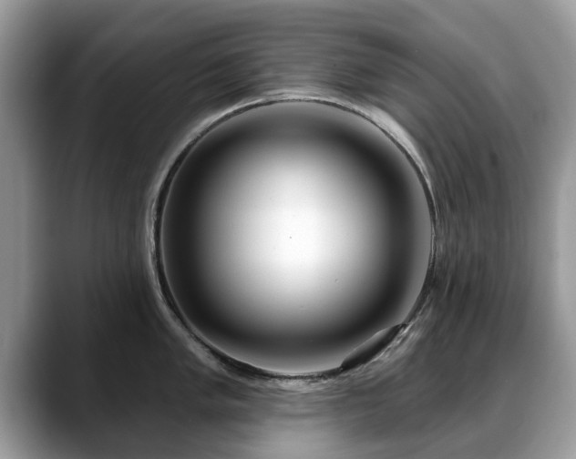X0000088671005200706071456