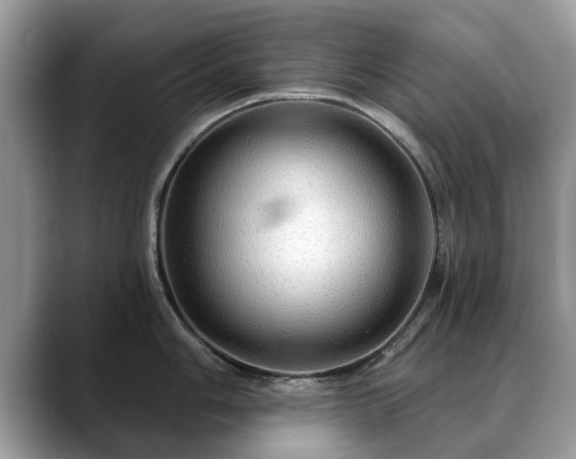 X0000088671006200706071456