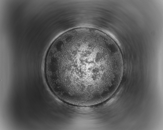 X0000088671007200706071456