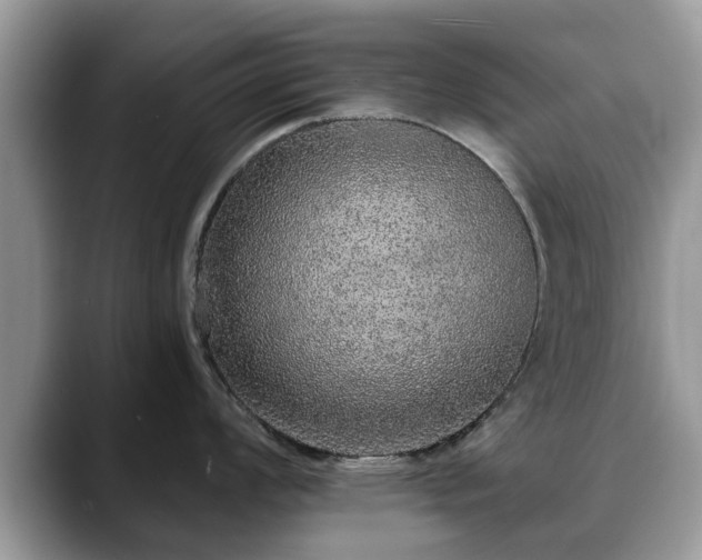 X0000088671008200706071456