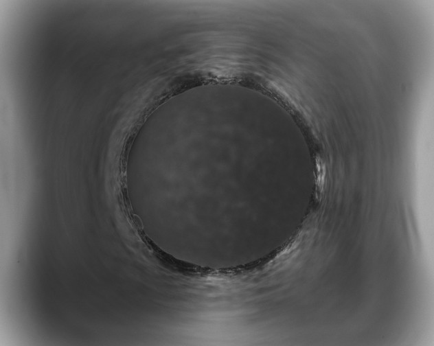 X0000088671009200706071455