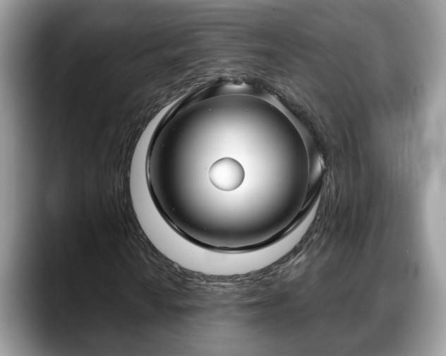 X0000088671010200706071455