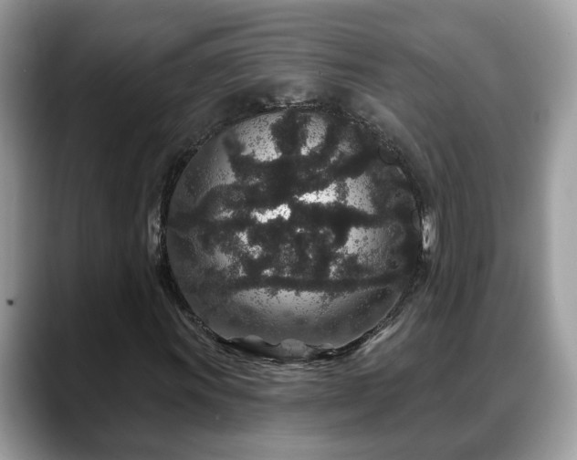X0000088671011200706071455