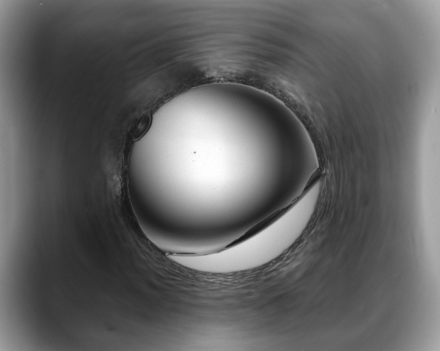 X0000088671012200706071455