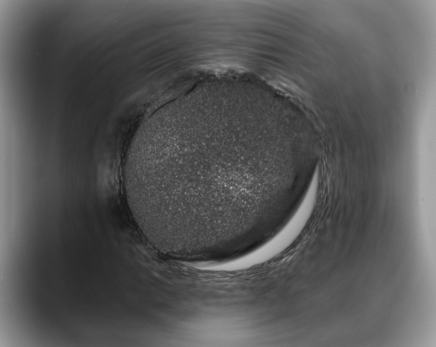 X0000088671014200706071455