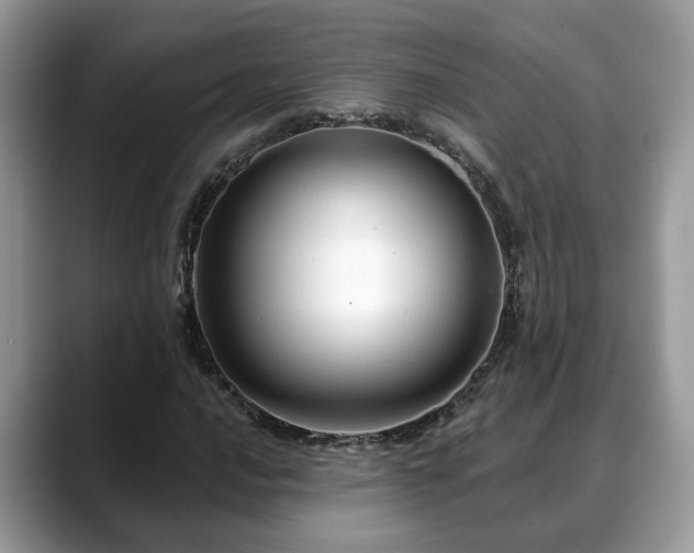 X0000088671016200706071455