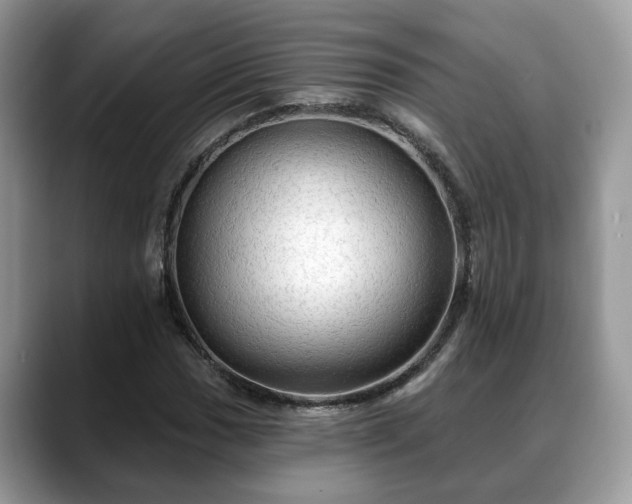 X0000088671017200706071455
