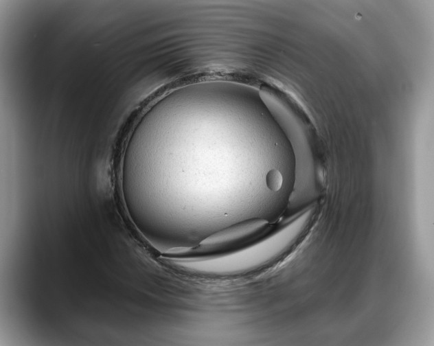X0000088671018200706071455