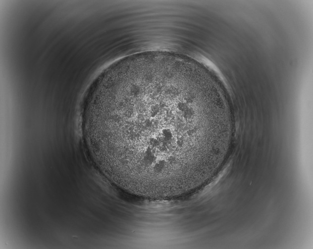 X0000088671019200706071455