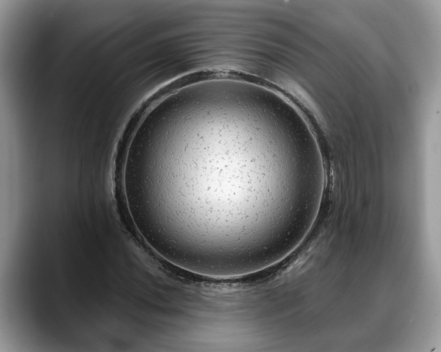 X0000088671020200706071455