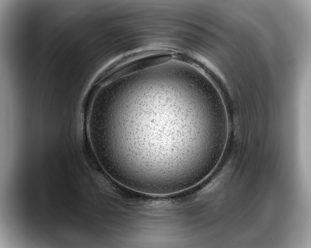 X0000088671021200706071455