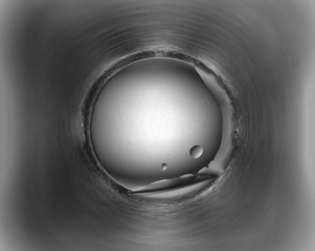 X0000088671022200706071455