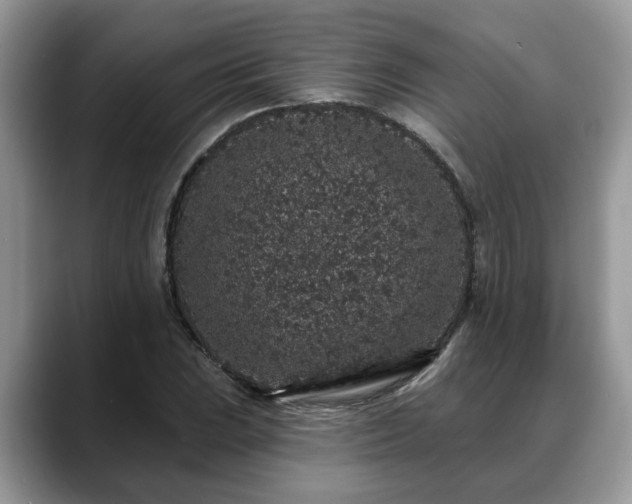 X0000088671023200706071455