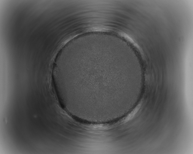 X0000088671025200706071455