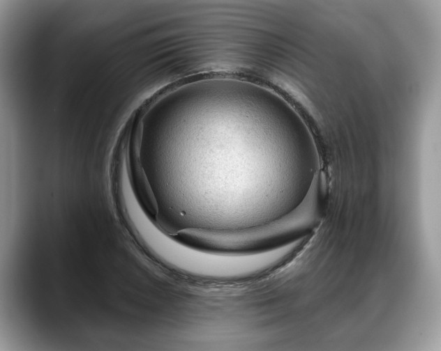 X0000088671026200706071455