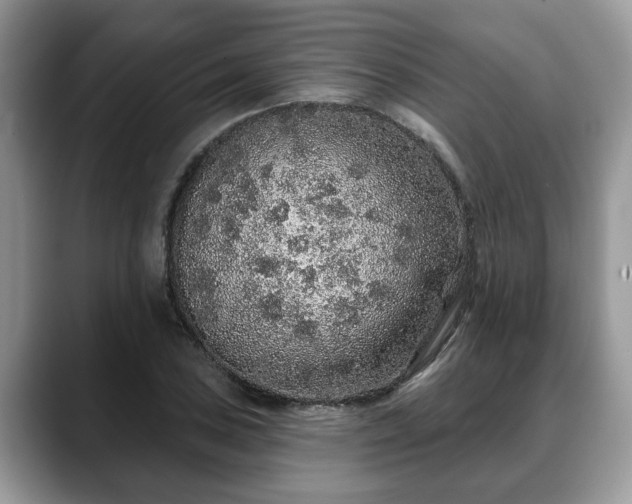 X0000088671027200706071455