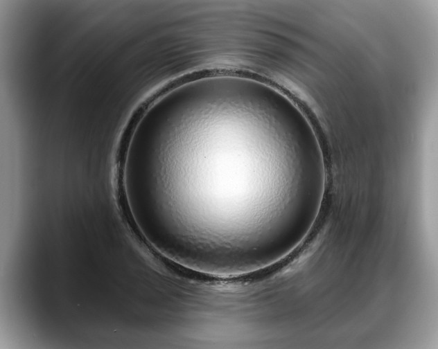 X0000088671029200706071455