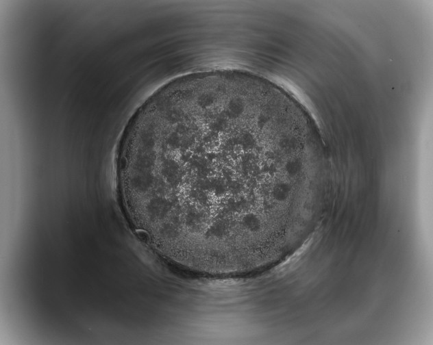 X0000088671031200706071455