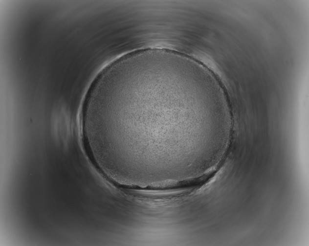 X0000088671032200706071455