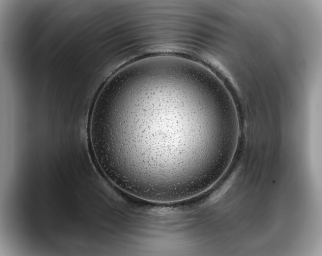 X0000088671033200706071455