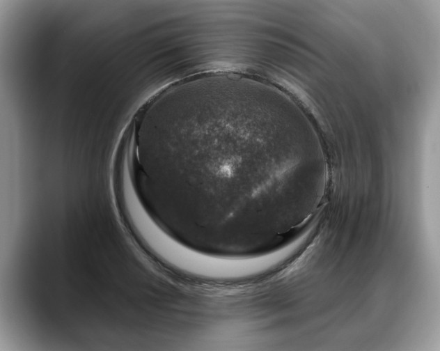 X0000088671034200706071455