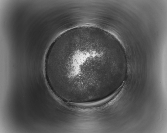 X0000088671038200706071455