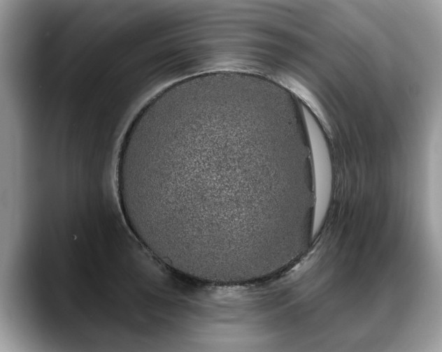 X0000088671043200706071455