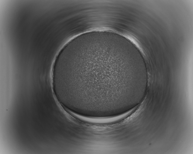 X0000088671046200706071456