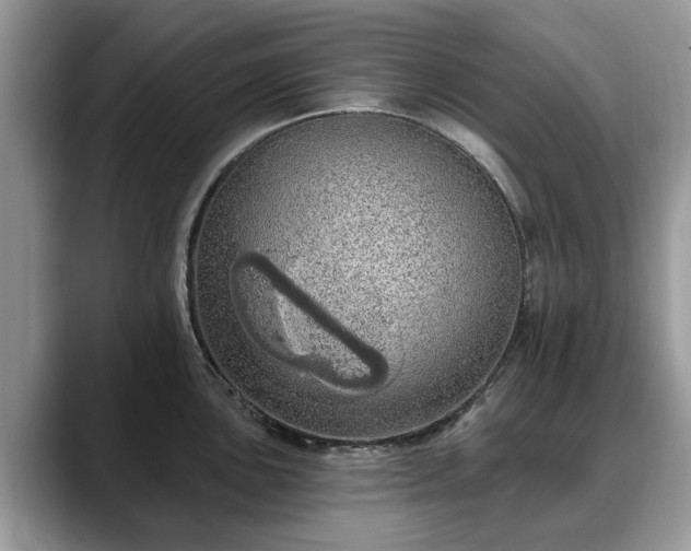 X0000088671051200706071456