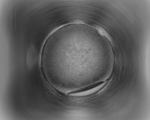 X0000088671052200706071456