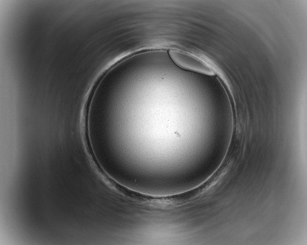 X0000088671053200706071456