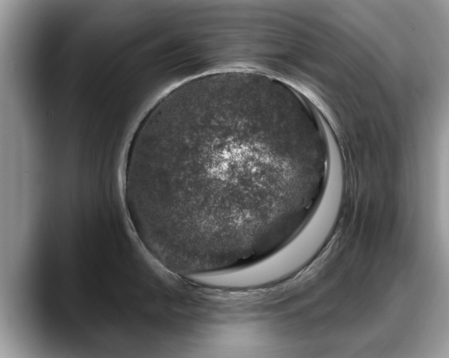X0000088671054200706071456