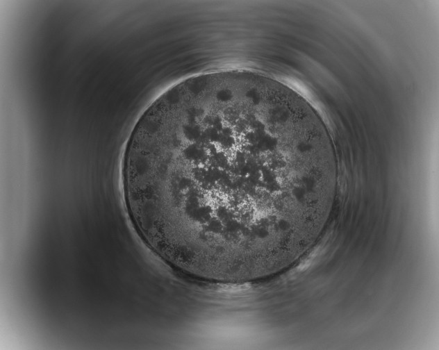 X0000088671055200706071456