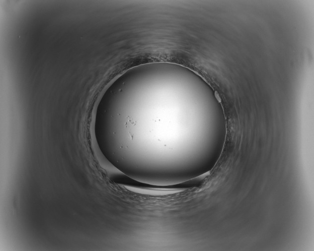 X0000088671057200706071455