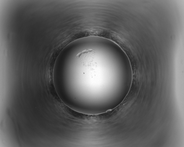 X0000088671058200706071455
