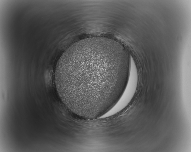 X0000088671059200706071455