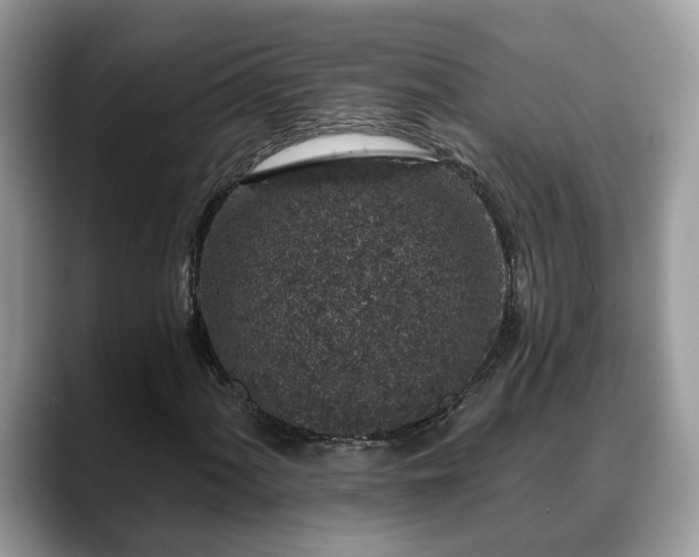 X0000088671060200706071455