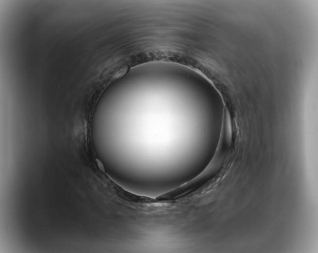 X0000088671061200706071455