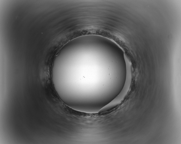 X0000088671062200706071455