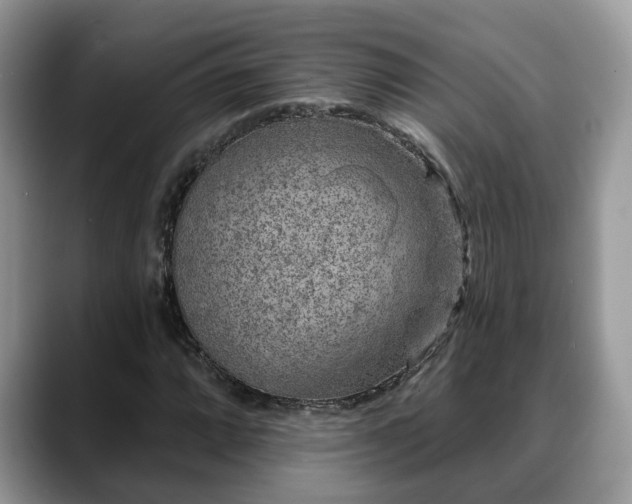 X0000088671064200706071455