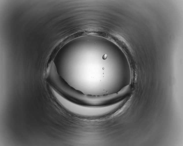 X0000088671065200706071455